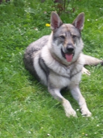 Název souboru=ares_151.jpg
Velikost souboru=371KB
Rozměry=1533x2048
Datum přidání=23. Červenec 2011 ares_151.jpg