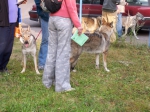 Název souboru=ares_154.jpg
Velikost souboru=511KB
Rozměry=2048x1533
Datum přidání=24. Červenec 2011 ares_154.jpg