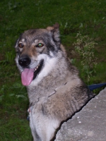 Název souboru=ares_159.jpg
Velikost souboru=344KB
Rozměry=1533x2048
Datum přidání=24. Červenec 2011 ares_159.jpg