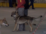 Název souboru=ares_170.jpg
Velikost souboru=256KB
Rozměry=2048x1533
Datum přidání=24. Červenec 2011 ares_170.jpg