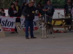 Název souboru=ares_181.jpg
Velikost souboru=260KB
Rozměry=2048x1533
Datum přidání=24. Červenec 2011 ares_181.jpg