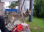Název souboru=ares_185.jpg
Velikost souboru=448KB
Rozměry=2048x1533
Datum přidání=24. Červenec 2011 ares_185.jpg