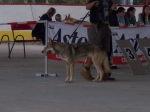 Název souboru=ares_202.jpg
Velikost souboru=247KB
Rozměry=2048x1533
Datum přidání=24. Červenec 2011 ares_202.jpg