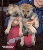 Název souboru=ares_218.jpg
Velikost souboru=42KB
Rozměry=400x460
Datum přidání=23. Červenec 2011 ares_218.jpg