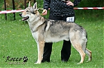 Název souboru=argo_kuklik.jpg
Velikost souboru=124KB
Rozměry=800x533
Datum přidání=29. Listopad 2012 argo_kuklik.jpg