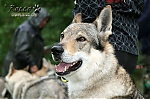 Název souboru=argo_kuklik01.jpg
Velikost souboru=97KB
Rozměry=800x533
Datum přidání=29. Listopad 2012 argo_kuklik01.jpg