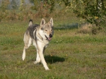 Název souboru=aron2.jpg
Velikost souboru=117KB
Rozměry=800x600
Datum přidání=24. Červenec 2011 aron2.jpg