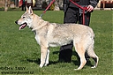Název souboru=barbar.jpg
Velikost souboru=36KB
Rozměry=128x85
Datum přidání=29. Listopad 2012 barbar.jpg