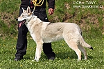 Název souboru=blair1.jpg
Velikost souboru=319KB
Rozměry=600x400
Datum přidání=29. Listopad 2012 blair1.jpg