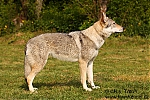 Název souboru=brook2.jpg
Velikost souboru=317KB
Rozměry=600x400
Datum přidání=29. Listopad 2012 brook2.jpg