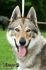 Název souboru=carmin_kuklik.jpg
Velikost souboru=107KB
Rozměry=533x800
Datum přidání=24. Listopad 2012 carmin_kuklik.jpg
