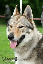 Název souboru=carmin_kuklik01.jpg
Velikost souboru=89KB
Rozměry=533x800
Datum přidání=24. Listopad 2012 carmin_kuklik01.jpg