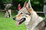 Název souboru=carmin_kuklik03.jpg
Velikost souboru=86KB
Rozměry=800x533
Datum přidání=24. Listopad 2012 carmin_kuklik03.jpg