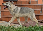 Název souboru=charon1.jpg
Velikost souboru=137KB
Rozměry=1200x865
Datum přidání=17. Září 2013 charon1.jpg
