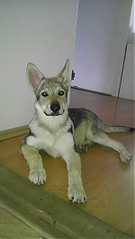 Název souboru=christine1.jpg
Velikost souboru=33KB
Rozměry=450x800
Datum přidání=17. Září 2013 christine1.jpg