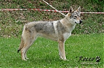 Název souboru=dakar_kuklik.jpg
Velikost souboru=195KB
Rozměry=800x533
Datum přidání=23. Listopad 2012 dakar_kuklik.jpg