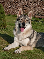 Název souboru=dovca_nuzice2Bdakar_102.jpg
Velikost souboru=241KB
Rozměry=800x1067
Datum přidání=23. Listopad 2012 dovca_nuzice2Bdakar_102.jpg