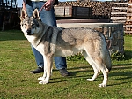 Název souboru=dovca_nuzice2Bdakar_117.jpg
Velikost souboru=188KB
Rozměry=800x600
Datum přidání=23. Listopad 2012 dovca_nuzice2Bdakar_117.jpg