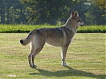 Název souboru=dovca_nuzice2Bdakar_132.jpg
Velikost souboru=169KB
Rozměry=800x600
Datum přidání=23. Listopad 2012 dovca_nuzice2Bdakar_132.jpg