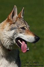Název souboru=duffy1.jpg
Velikost souboru=224KB
Rozměry=400x600
Datum přidání=29. Listopad 2012 duffy1.jpg