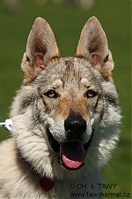 Název souboru=duffy3.jpg
Velikost souboru=231KB
Rozměry=400x600
Datum přidání=29. Listopad 2012 duffy3.jpg