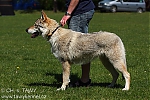 Název souboru=duffy4.jpg
Velikost souboru=284KB
Rozměry=600x400
Datum přidání=29. Listopad 2012 duffy4.jpg