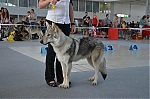 Název souboru=eira2~0.jpg
Velikost souboru=185KB
Rozměry=1200x794
Datum přidání=30. Červenec 2012 eira2~0.jpg
