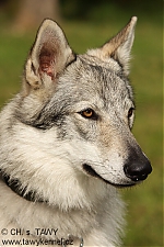 eira5.jpg