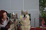 Název souboru=eira_a_witch_brno.jpg
Velikost souboru=140KB
Rozměry=1200x794
Datum přidání=30. Červenec 2012 eira_a_witch_brno.jpg