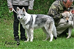 Název souboru=eira_kuklik.jpg
Velikost souboru=154KB
Rozměry=800x533
Datum přidání=30. Červenec 2012 eira_kuklik.jpg