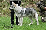 Název souboru=eira_kuklik01.jpg
Velikost souboru=181KB
Rozměry=800x533
Datum přidání=30. Červenec 2012 eira_kuklik01.jpg