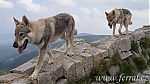 Název souboru=em1.jpg
Velikost souboru=126KB
Rozměry=960x540
Datum přidání=30. Červenec 2012 em1.jpg