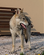 Název souboru=em3.jpg
Velikost souboru=137KB
Rozměry=768x960
Datum přidání=30. Červenec 2012 em3.jpg