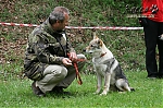 Název souboru=emmy_kuklik.jpg
Velikost souboru=174KB
Rozměry=800x533
Datum přidání=30. Červenec 2012 emmy_kuklik.jpg