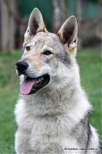 Název souboru=gero13~0.JPG
Velikost souboru=64KB
Rozměry=400x600
Datum přidání=30. Srpen 2014 gero13~0.JPG