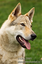 Název souboru=gero3~0.jpg
Velikost souboru=245KB
Rozměry=400x600
Datum přidání=30. Srpen 2014 gero3~0.jpg