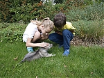 Název souboru=gissy1.jpg
Velikost souboru=208KB
Rozměry=800x600
Datum přidání=23. Listopad 2012 gissy1.jpg