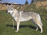 Název souboru=haky3.jpg
Velikost souboru=152KB
Rozměry=800x600
Datum přidání=30. Červenec 2012 haky3.jpg