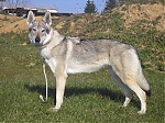 Název souboru=haky4.jpg
Velikost souboru=151KB
Rozměry=800x600
Datum přidání=30. Červenec 2012 haky4.jpg
