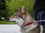 italie_kryti_firestorm_a_chewbe_227.jpg