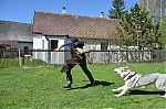Název souboru=j17.jpg
Velikost souboru=296KB
Rozměry=1200x794
Datum přidání=23. Listopad 2012 j17.jpg
