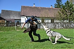 Název souboru=j18.jpg
Velikost souboru=293KB
Rozměry=1200x794
Datum přidání=23. Listopad 2012 j18.jpg