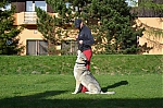 Název souboru=j7.jpg
Velikost souboru=243KB
Rozměry=1200x794
Datum přidání=23. Listopad 2012 j7.jpg
