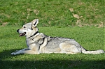 Název souboru=j8.jpg
Velikost souboru=211KB
Rozměry=1200x794
Datum přidání=23. Listopad 2012 j8.jpg