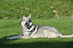 Název souboru=j9.jpg
Velikost souboru=206KB
Rozměry=1200x794
Datum přidání=23. Listopad 2012 j9.jpg