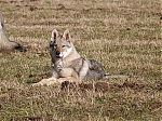 Název souboru=jaro2013_049.jpg
Velikost souboru=164KB
Rozměry=640x480
Datum přidání=19. Duben 2013 jaro2013_049.jpg
