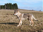 Název souboru=jaro2013_068.jpg
Velikost souboru=163KB
Rozměry=640x480
Datum přidání=19. Duben 2013 jaro2013_068.jpg