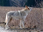 Název souboru=jaro2013_165.jpg
Velikost souboru=158KB
Rozměry=640x480
Datum přidání=19. Duben 2013 jaro2013_165.jpg