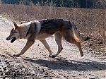 Název souboru=jaro2013_186.jpg
Velikost souboru=140KB
Rozměry=640x480
Datum přidání=19. Duben 2013 jaro2013_186.jpg