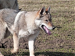 Název souboru=jaro2013_239.jpg
Velikost souboru=134KB
Rozměry=640x480
Datum přidání=19. Duben 2013 jaro2013_239.jpg